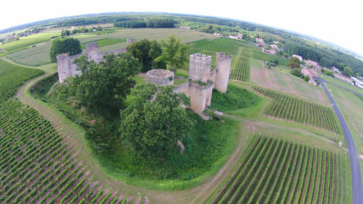 Langon Vitidrones : voir la vigne en drone | Innovations & RSE à Bordeaux et en Gironde | Scoop.it