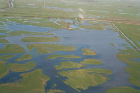 Le Marais poitevin labellisé Ramsar | Paysage - Agriculture | Scoop.it