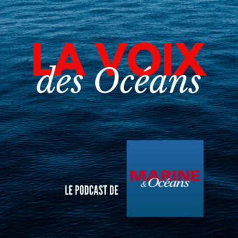 "La voix des océans" : et si on baissait le son sous la mer ? | Biodiversité | Scoop.it