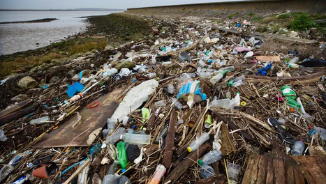 Recycling and waste groups ‘disappointed’ by lack of plastics treaty | Industry 411 - Waste Management | Scoop.it