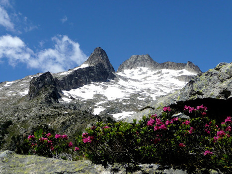 Néouvielle en fête les 19 et 20 juillet 2014 | Vallées d'Aure & Louron - Pyrénées | Scoop.it