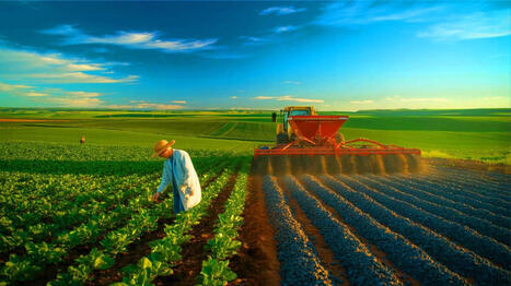 « Ils font disparaître le CO₂ dans le sol » : le projet de Microsoft au Brésil transforme les champs en pièges à carbone naturels | Innovation Agro-activités et Bio-industries | Scoop.it