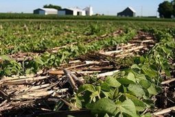 No-till agriculture may not bring hoped-for boost in global crop yields, study finds | Sustainability Science | Scoop.it