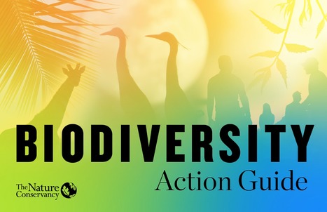 The Biodiversity Action Guide | Biodiversité | Scoop.it