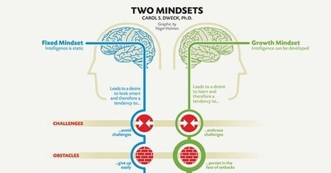 Fixed vs. Growth: The Two Basic Mindsets That Shape Our Lives | digisapiens v.1.0 | Scoop.it