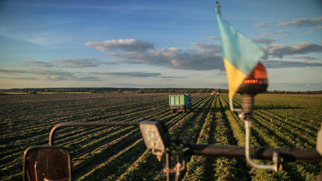 UKRAINE : Blueprint for an Agricultural Recovery Plan  | Revue de presse - Club DEMETER | Scoop.it