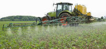 Pesticides : Effets sur la santé - Une expertise collective de l’Inserm | Management contemporain à l'innovation managériale - Droit social | Scoop.it