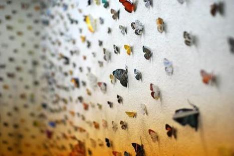 Eiji Watanabe: “Butterfly’s Eye View” | Art Installations, Sculpture, Contemporary Art | Scoop.it
