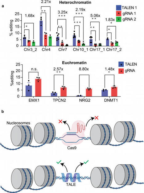 TALEN outperforms Cas9 in editing heterochromatin target sites - Nature Communications | TAL effector science | Scoop.it