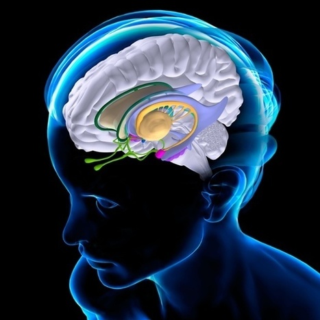 Why the modern world is bad for your brain | Boîte à outils numériques | Scoop.it