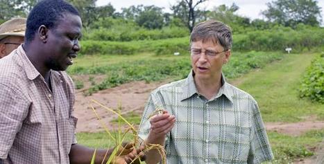 Le mariage Gates et Monsanto : attention, danger pour le plan&egrave;te | Plan&egrave;te, Nature et Biodiversit&eacute; | Scoop.it