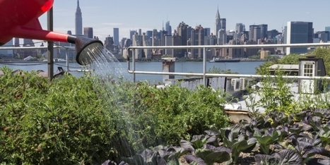 « L’idée de nourrir les métropoles grâce aux ceintures vertes est une illusion ! » | ESPACES VEGETALISES URBAINS | Scoop.it