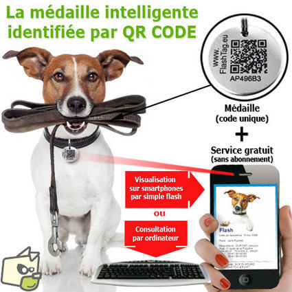 Médaille intelligente gravée QR CODE / identité chien et chat | De la bonne utilisation des QR-Codes | Scoop.it