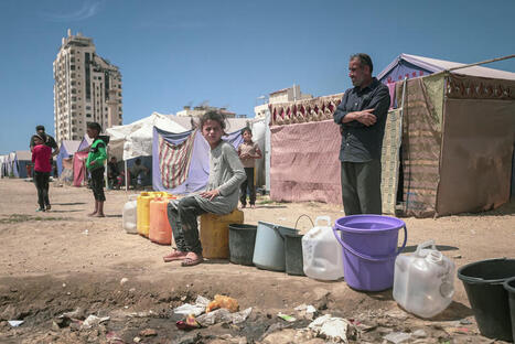 Risk of FAMINE across all of Gaza, new report says | World Food Programme | CIHEAM Press Review | Scoop.it