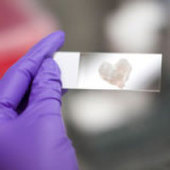 Lab Is Where the Heart Is? Trials and Tribulations of Lab Culture | Natural Products Chemistry Breaking News | Scoop.it