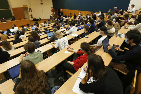 Université : qu'apprend-on en licence de sociologie ? - L'Etudiant | Le fil d'actualités de l'URCA | Scoop.it