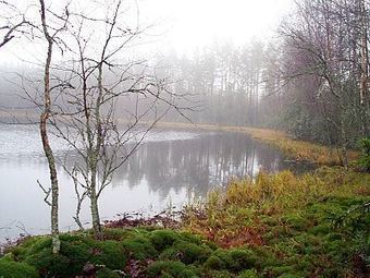 Vesilahti, historiaa, Mik&auml; Vesilahdessa on suurta? | 1Uutiset - Lukemisen t&auml;hden | Scoop.it