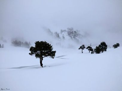 La magie d'Aumar en mai | Hugues Enond / Facebook | Vallées d'Aure & Louron - Pyrénées | Scoop.it