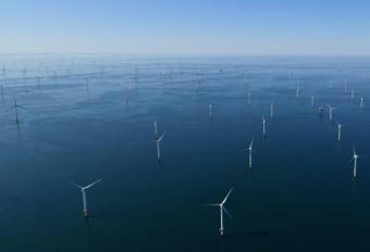 Impact environnemental des parcs éoliens offshore dans la mer du Nord belge | Institut royal des Sciences Naturelles | Environnement : Politiques Publiques et Stratégie | Scoop.it