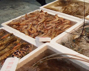 PHILIPPINES: Live shrimp imports banned to prevent EMS outbreak | Coastal Restoration | Scoop.it