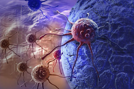 Avancée prometteuse de chercheurs de l’UCL vers un nouveau traitement contre le cancer | Koter Info - La Gazette de LLN-WSL-UCL | Scoop.it