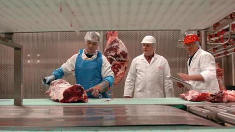Affaire Veviba: l’abattoir promet de «collaborer» | La Gazette des abattoirs | Scoop.it