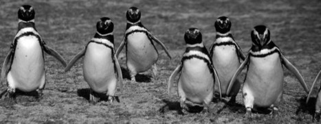 You Can’t Innovate When … – Innovation Excellence | Business Innovation | Scoop.it