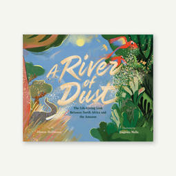 River of Dust – | Rainforest CLASSROOM | Scoop.it