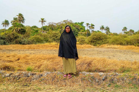 GAMBIA: A tide of salt is killing its rice | AFRIQUES | Scoop.it