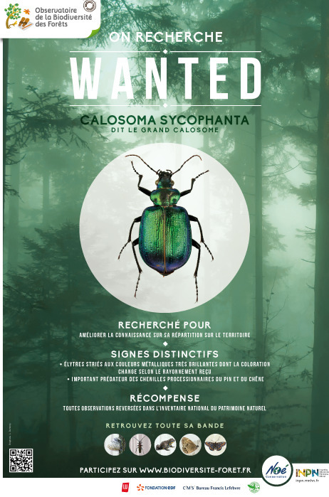 Les outils de l'OBF : Les affiches et le flyer du programme | Insect Archive | Scoop.it