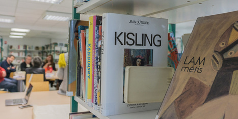 Vallée de Seine - Bibliothèques à réinventer, mais avec quelles idées ? | Veille pour les concours des bibliothèques | Scoop.it