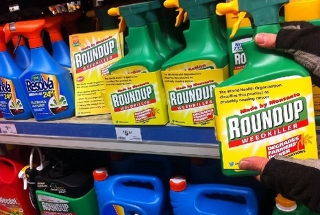 Roundup : vers des centaines de procès aux États-Unis contre Monsanto | Variétés entomologiques | Scoop.it