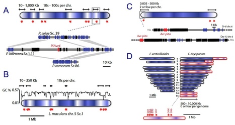 Nature Reviews Microbiol: Genome evolution in filamentous plant pathogens: why bigger can be better (2012) | Publications | Scoop.it
