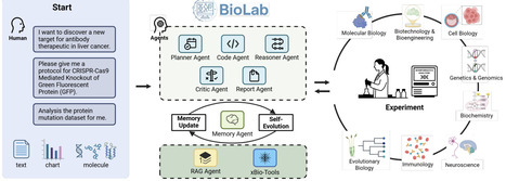 BioLab: End-to-End Autonomous Life Sciences Research with Multi-Agents System Integrating Biological Foundation Models | brvbi | RMH | Scoop.it