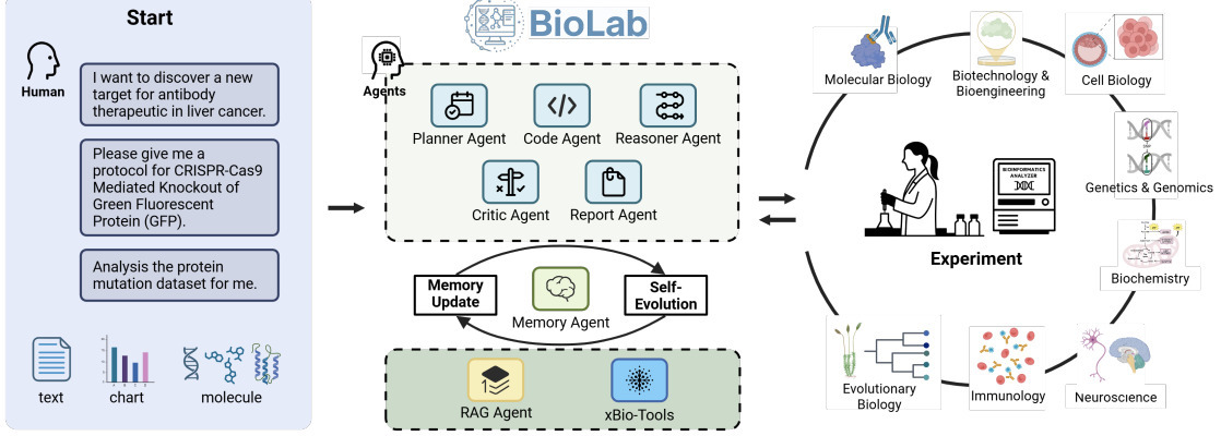 BioLab: End-to-End Autonomous Life Sciences Res...