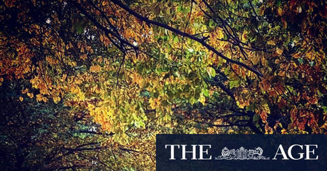 Force of nature: Why a walk in the park can do you the world of good | Physical and Mental Health - Exercise, Fitness and Activity | Scoop.it