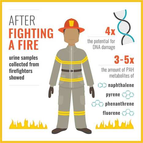 Firefighters Absorb Chemicals Through Skin | Prévention du risque chimique | Scoop.it