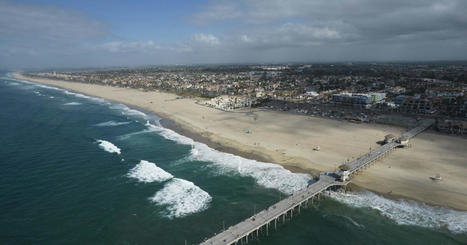 Part of Huntington Beach coast closed after shark sighting | Coastal Restoration | Scoop.it