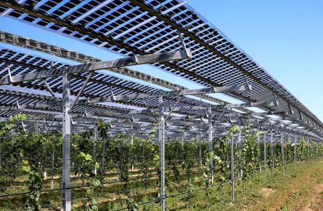 Agrivolta&iuml;sme : un mod&egrave;le au service des agriculteurs de demain - Ademe | Pour innover en agriculture | Scoop.it