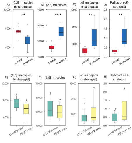 Contrasting responses of rhizosphere microbial guild to nitrogen enrichment are associated with mycorrhizal plant type | Plant-Microbe Symbiosis | Scoop.it
