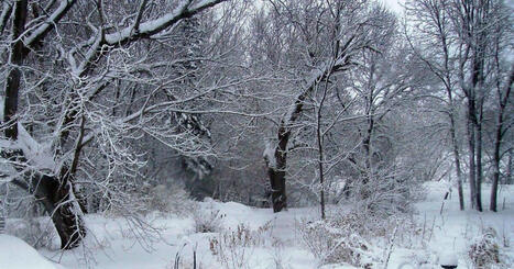 Waniyetu Wowapi (winter count) | South Dakota History | Scoop.it