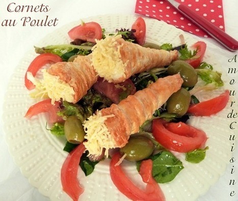 Cornets au poulet | recettes du ramadan  وصفات رمضان أطباق رمضان مطبخ رمضان | Scoop.it