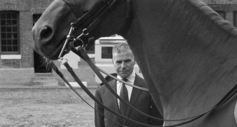 Milady - Equidia Life | Cheval et sport | Scoop.it