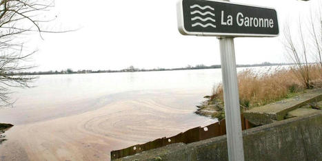 Il y a quatorze ans, pollution au pétrole brut au Bec d’Ambès : un long combat judiciaire en Gironde / le 10.01.2024 | Pollution accidentelle des eaux (+ déchets plastiques) | Scoop.it