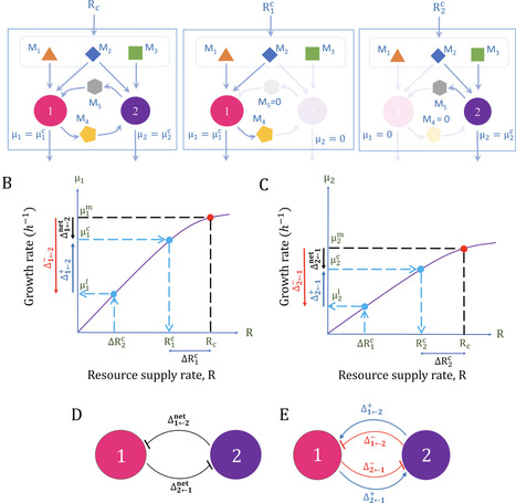 Quartet: Disentangling positive and negative components of microbial interactions | PLOS | RMH | Scoop.it