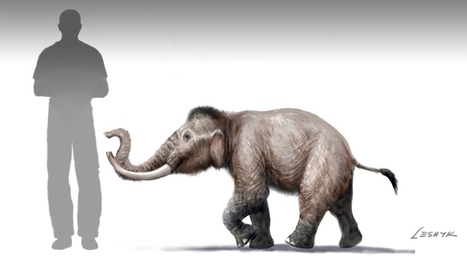Mini mammoth once roamed Crete | Science News | Scoop.it