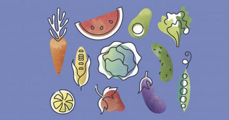 ALIMENTATION : Qu'est-ce que la règle des 3V en nutrition ? | ALIMENTATIONS | Scoop.it