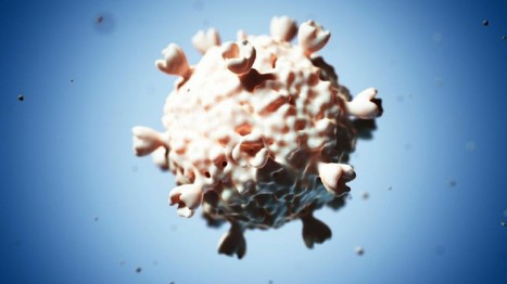 Sida : le virus se sert d'une protéine de la cellule pour se protéger - Sciences & Avenir | sida | Scoop.it