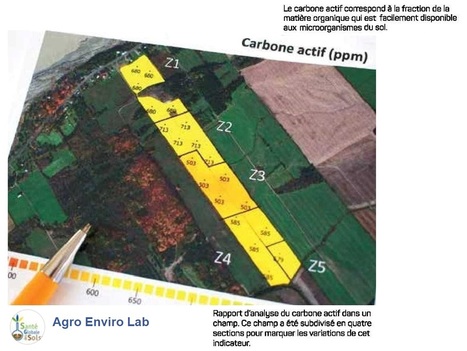 Agro Enviro Lab : les analyses de santé des sols complètent les observations de terrain pour un diagnostic de fertilité. Le carbone actif (POxC) est l'un des indicateurs. | MOF matière organique réactive du sol | Scoop.it