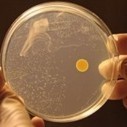 3D-Printed Bacteria May Unlock Secrets of Disease | Technology in Business Today | Scoop.it